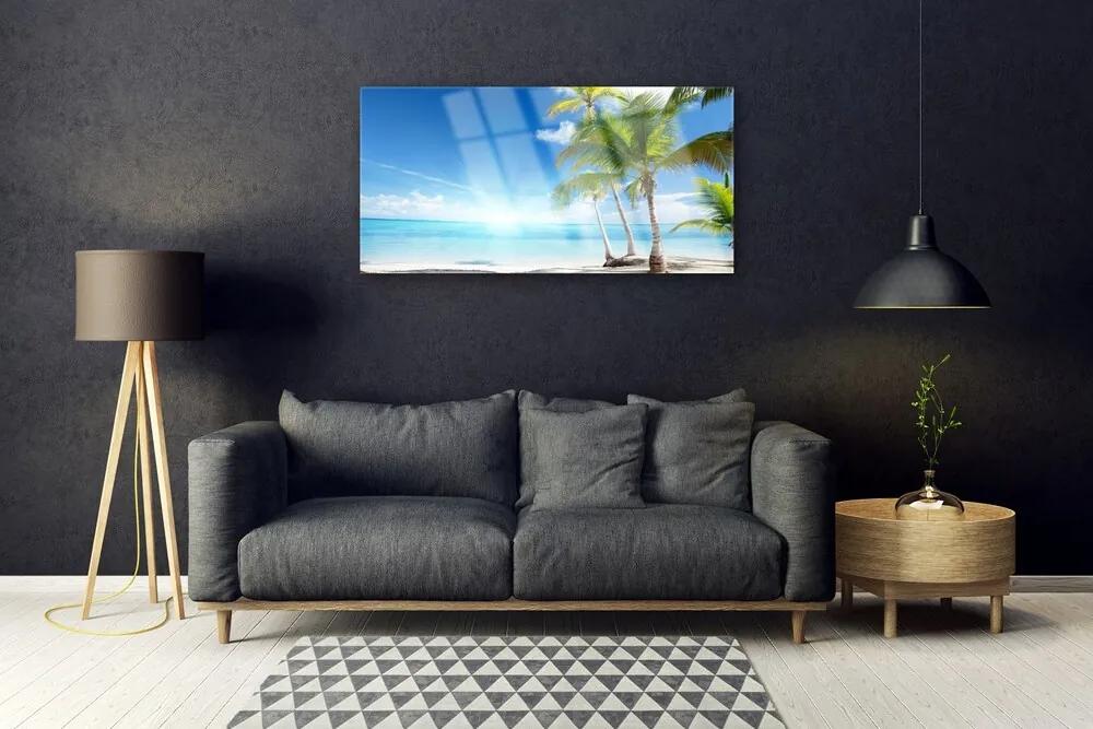 Obraz na skle Palma strom more krajina 125x50 cm