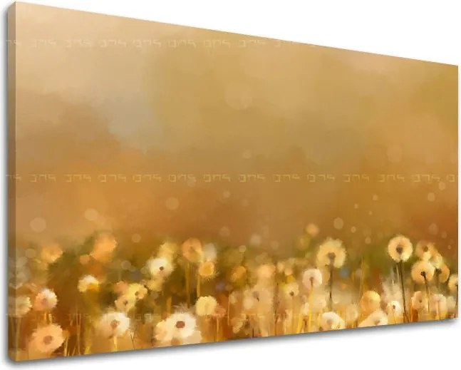 Obraz na stenu KVETY KV075E11 - 80x120 cm