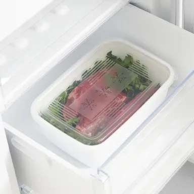 Plastové krabičky do mrazáku, Rotho FREEZE, bílá, 1 x 3,7l (30x20x9)