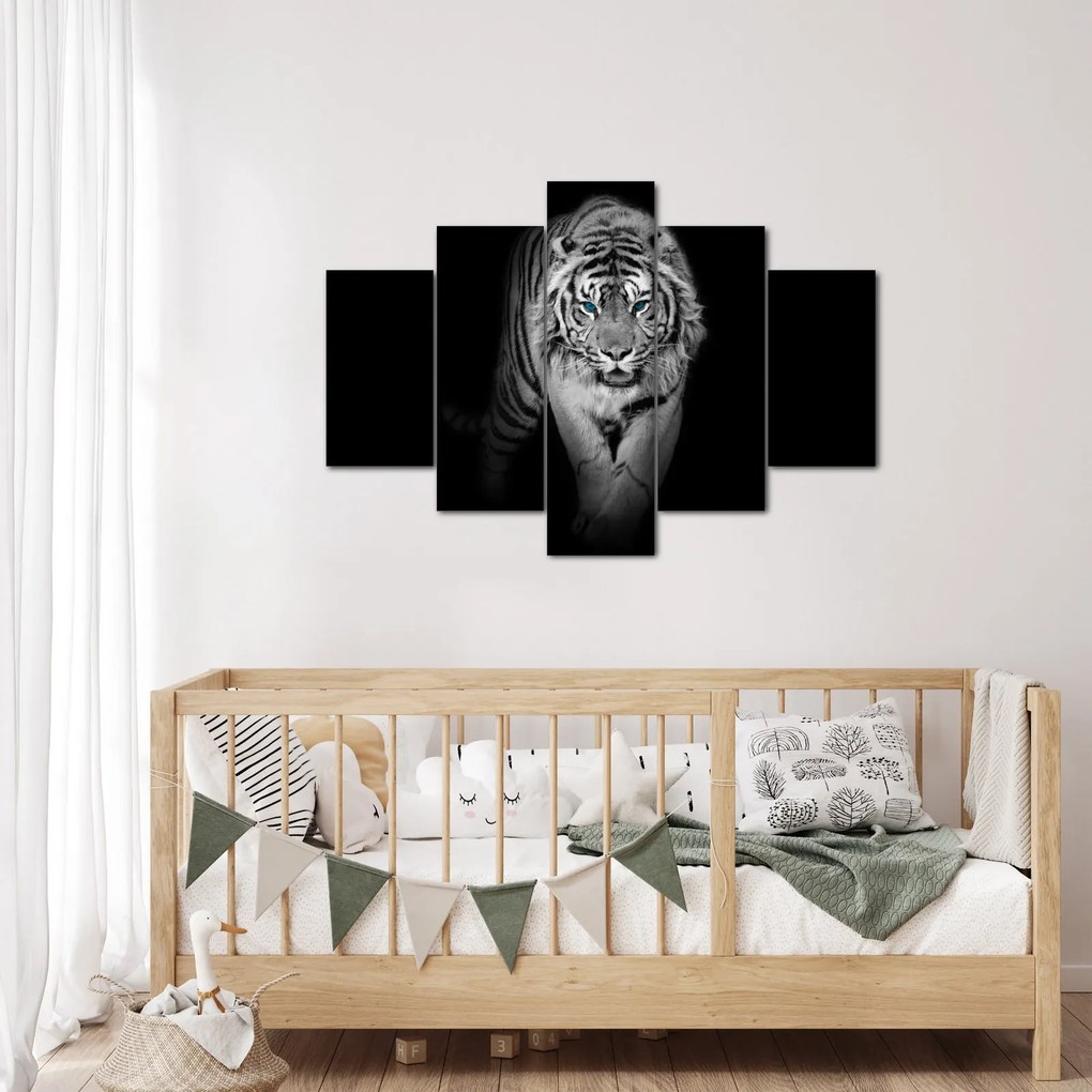Obraz - Tiger s modrými očami (150x105 cm)