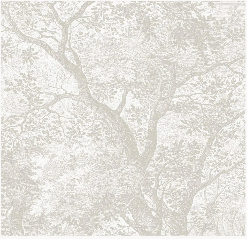 Vliesová tapeta Engraved Landscapes