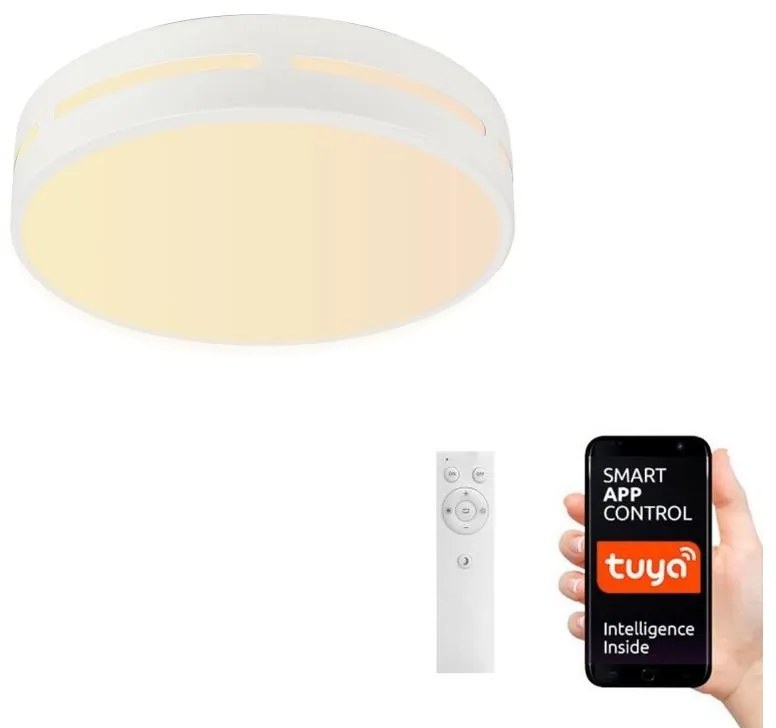 Immax Neo Immax NEO 07153-W40 - LED Stmievateľné svietidlo PERFECTO 24W/230V Wi-Fi Tuya + DO IM0983