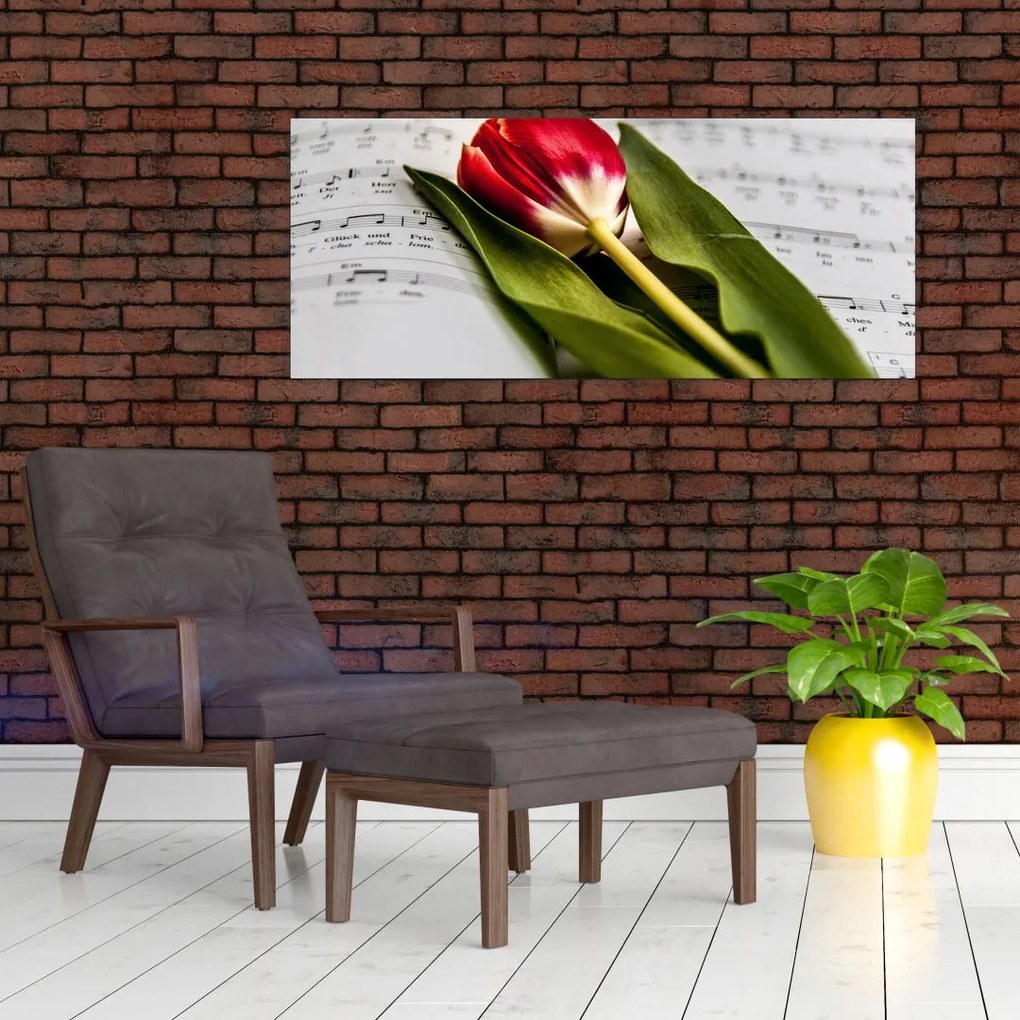 Obraz červeného tulipánu (120x50 cm)