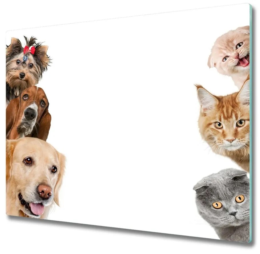 Sklenená doska na krájanie Psy a mačky 60x52 cm