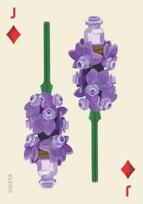 Chronicle Books LEGO® Set botanických hracích kariet