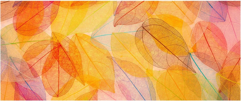 Obraz - Pozadie z jesenného lístia (120x50 cm)