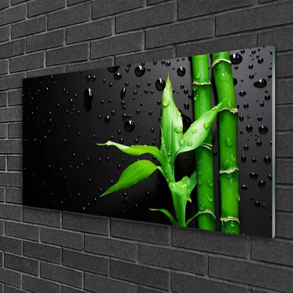 Obraz na skle Bambus listy rastlina 120x60 cm