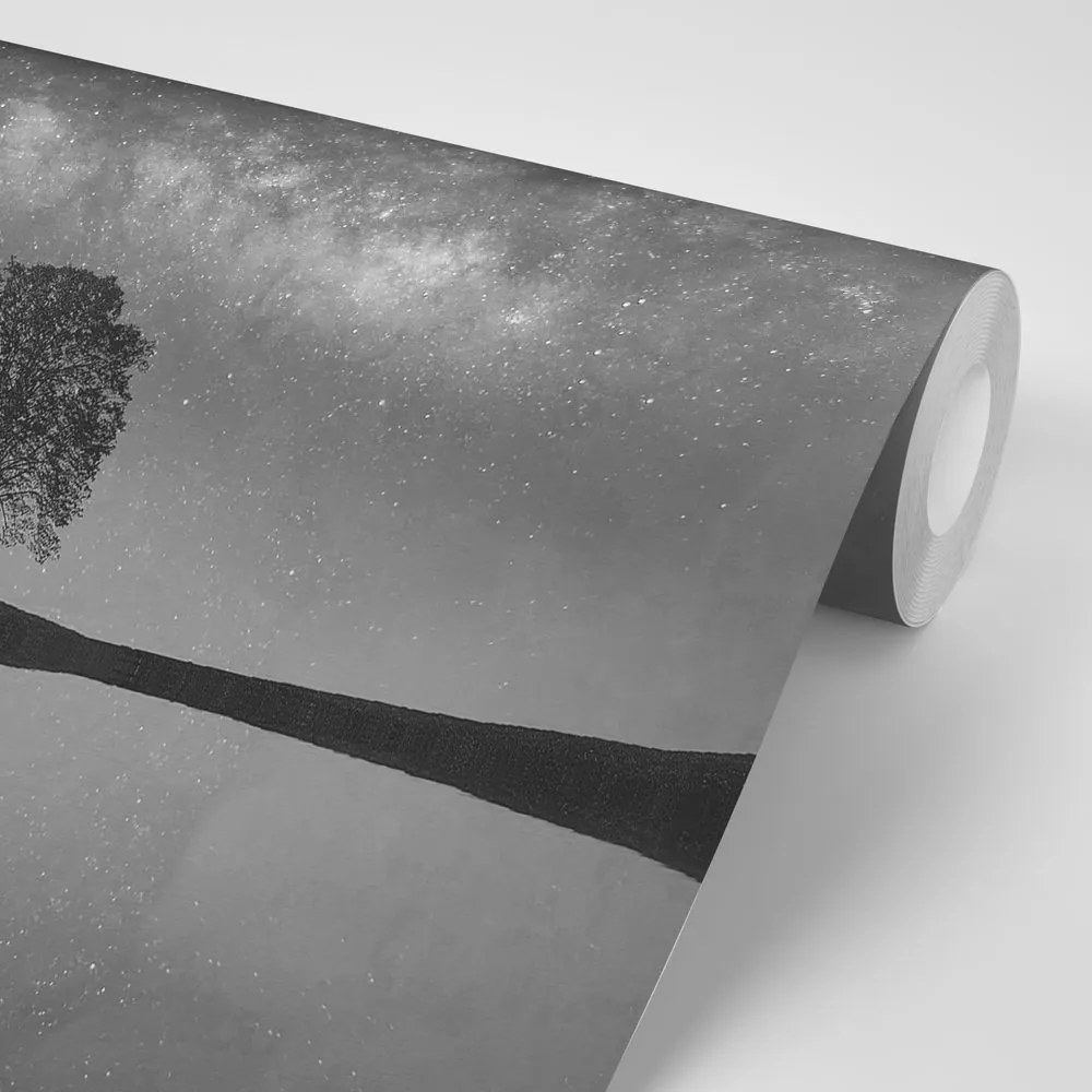 Samolepiaca fototapeta čiernobiela hviezdna obloha nad osamelým stromom - 150x100