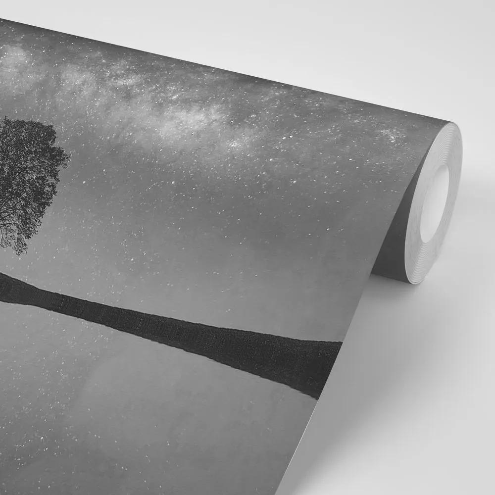 Samolepiaca fototapeta čiernobiela hviezdna obloha nad osamelým stromom - 225x150