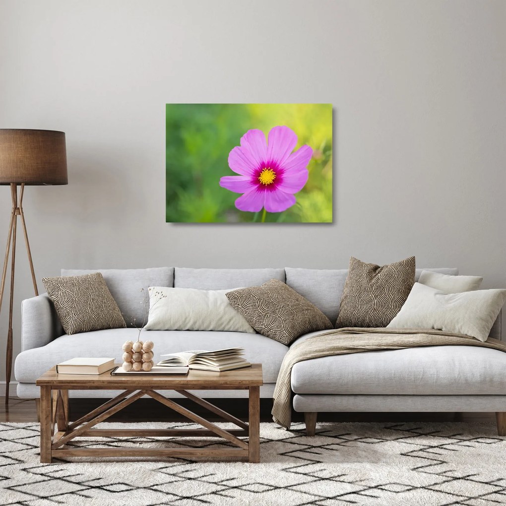 Sklenený obraz - lúčna kvetina (70x50 cm)