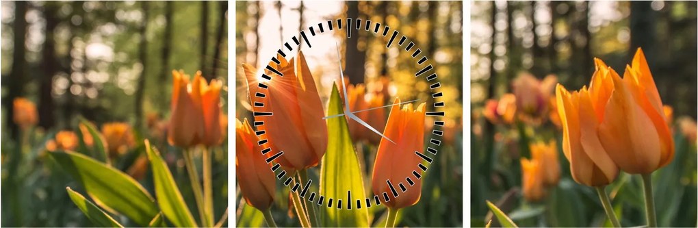 Obraz - oranžové tulipány (s hodinami) (90x30 cm)