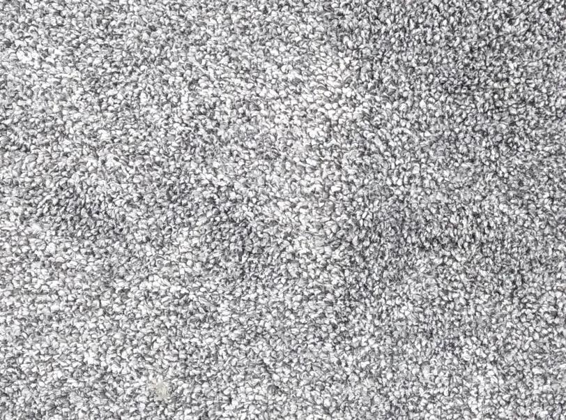 Spoltex koberce Liberec AKCE: 115x185 cm Metrážový koberec Absolute 1091 Sv. šedý - Rozměr na míru bez obšití cm | BIANO