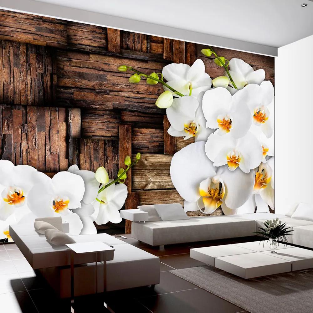 Artgeist Fototapeta - Blooming orchids Veľkosť: 100x70, Verzia: Standard