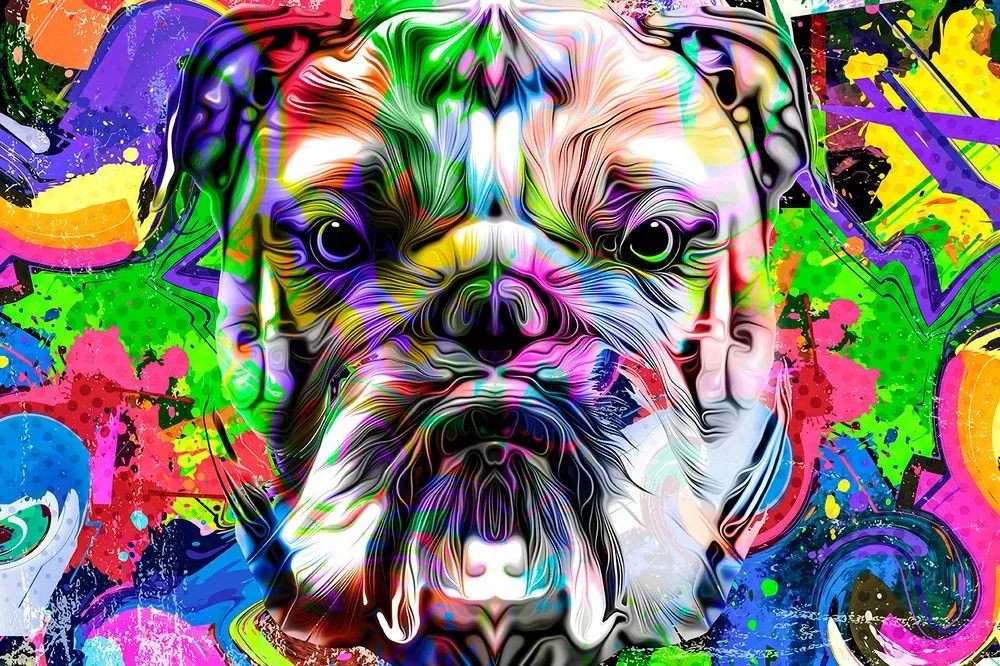 Samolepiaca tapeta buldog v pop art prevedení