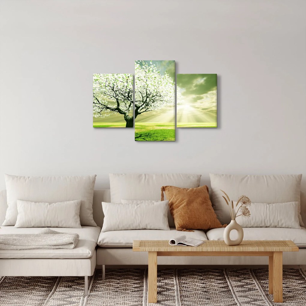 Obraz stromu na lúke (90x60 cm)