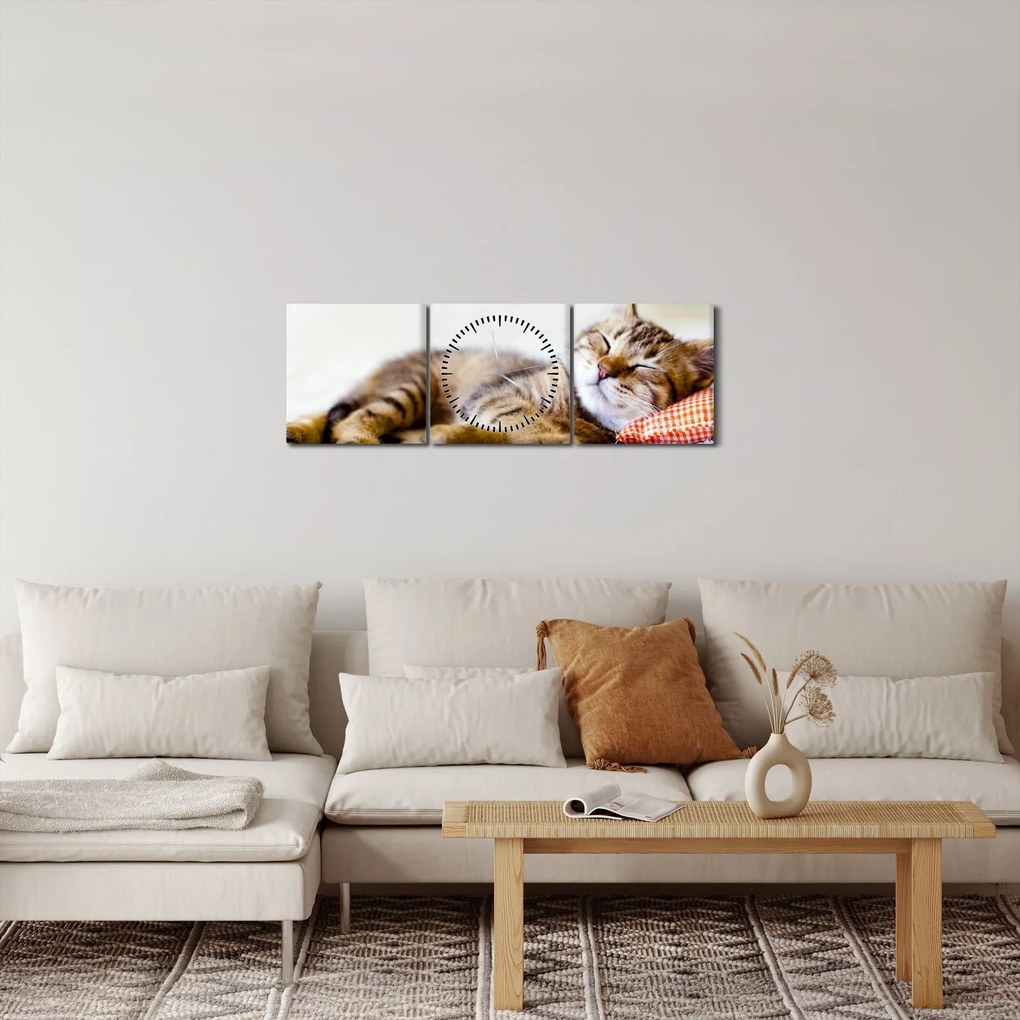 Obraz - Spiace mačiatko (s hodinami) (90x30 cm)
