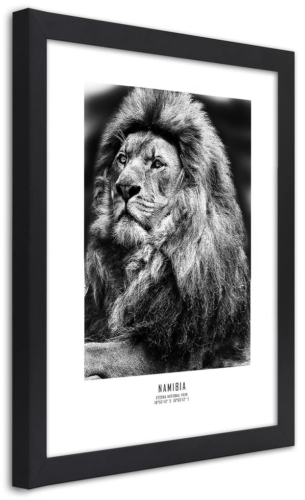 Gario Plagát Symbol Afriky Farba rámu: Bez rámu, Rozmery: 40 x 60 cm