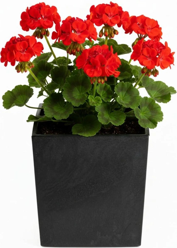 PLASTOVÝ KVETINÁČ FLORE 30,5X29,5X29,5 CM IMITÁCIA BETÓNU ČIERNA