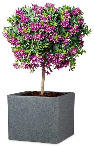 Scheurich Kvetináč Cube (žula/čierna, Ø 30 cm) (100349931)