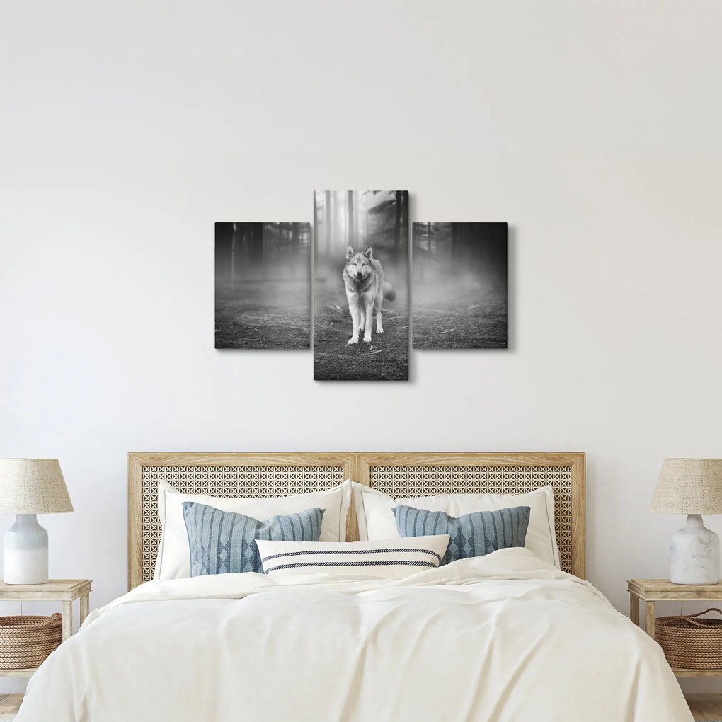 Obraz - Strážca lesa, čiernobiely (90x60 cm)