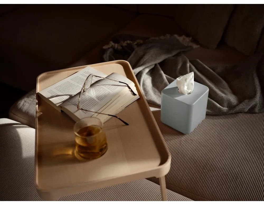 Plastový box na vreckovky Ume – Zone