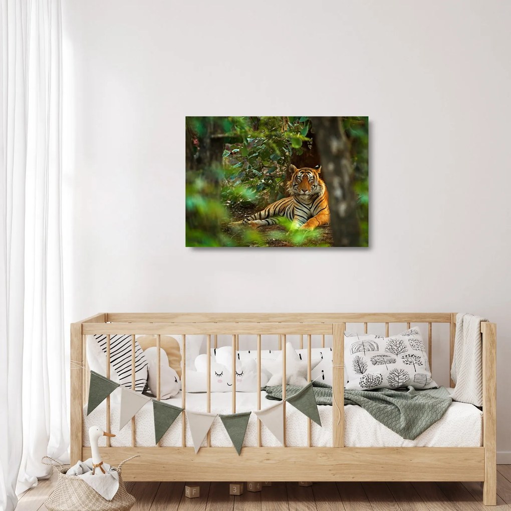 Sklenený obraz odpočívajúceho tigra (70x50 cm)