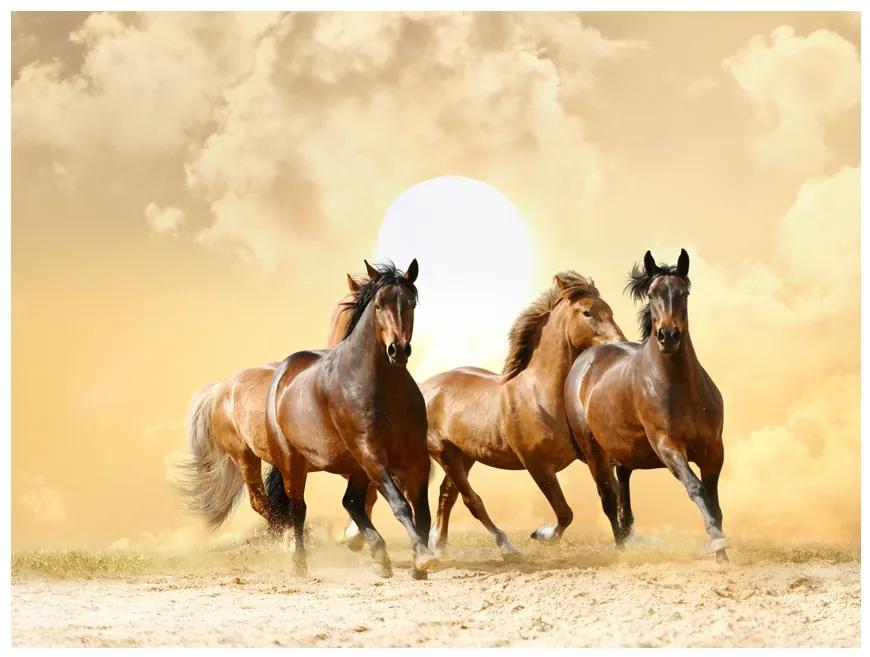 Artgeist Fototapeta - Running horses Veľkosť: 400x309, Verzia: Premium