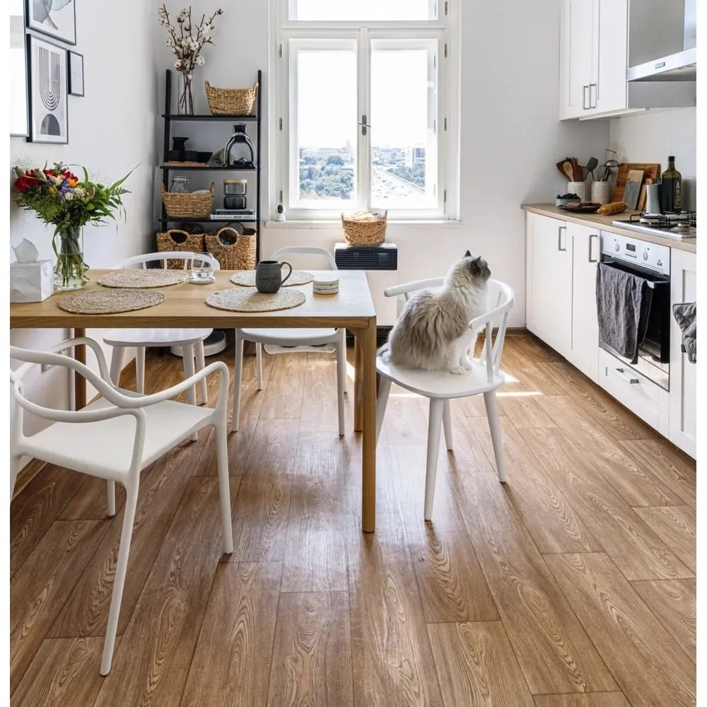 Súprava 2 bielych jedálenských stoličiek Bonami Selection Dali Chaur