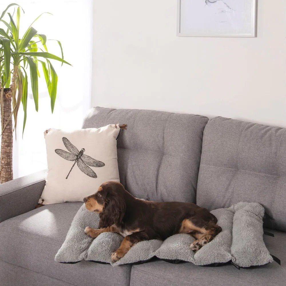 Čierna deka pre psa s baránkom 50x80 cm – Love Story