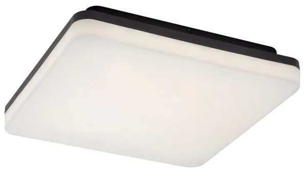 Rabalux 7250 - LED kúpeľňové stropné svietidlo PERNIK LED/24W/230V IP54