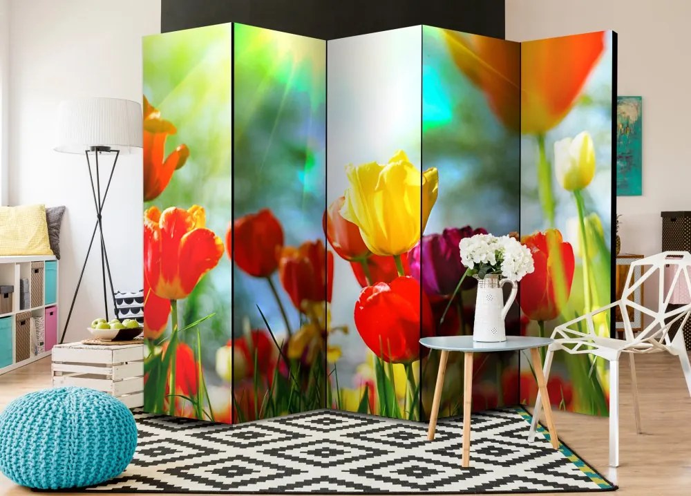 Artgeist Paraván - Spring Tulips II [Room Dividers]