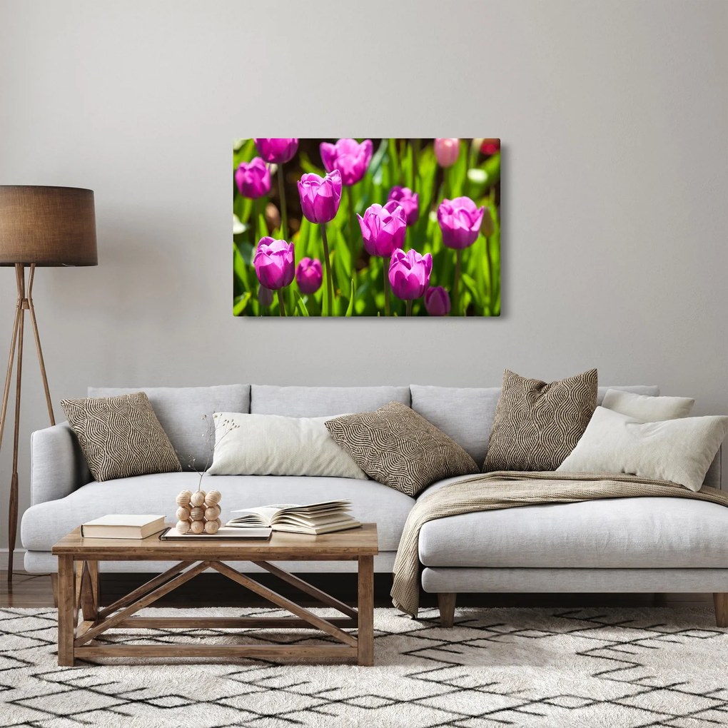Obraz tulipánov na lúke (90x60 cm)