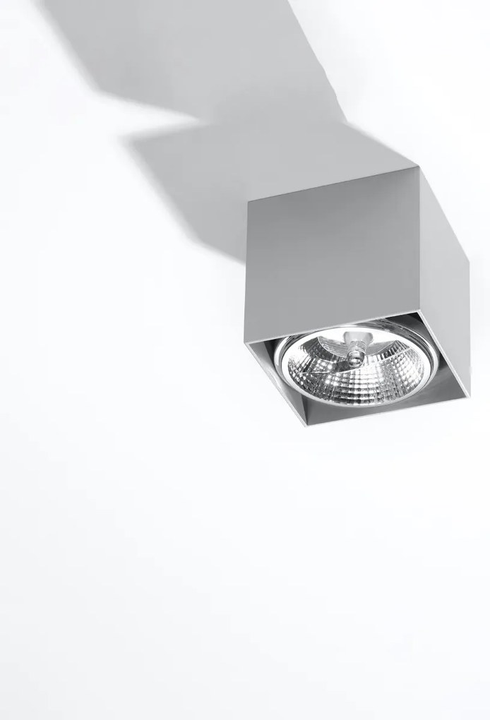 Stropné svietidlo Blake, 1x sivé kovové tienidlo