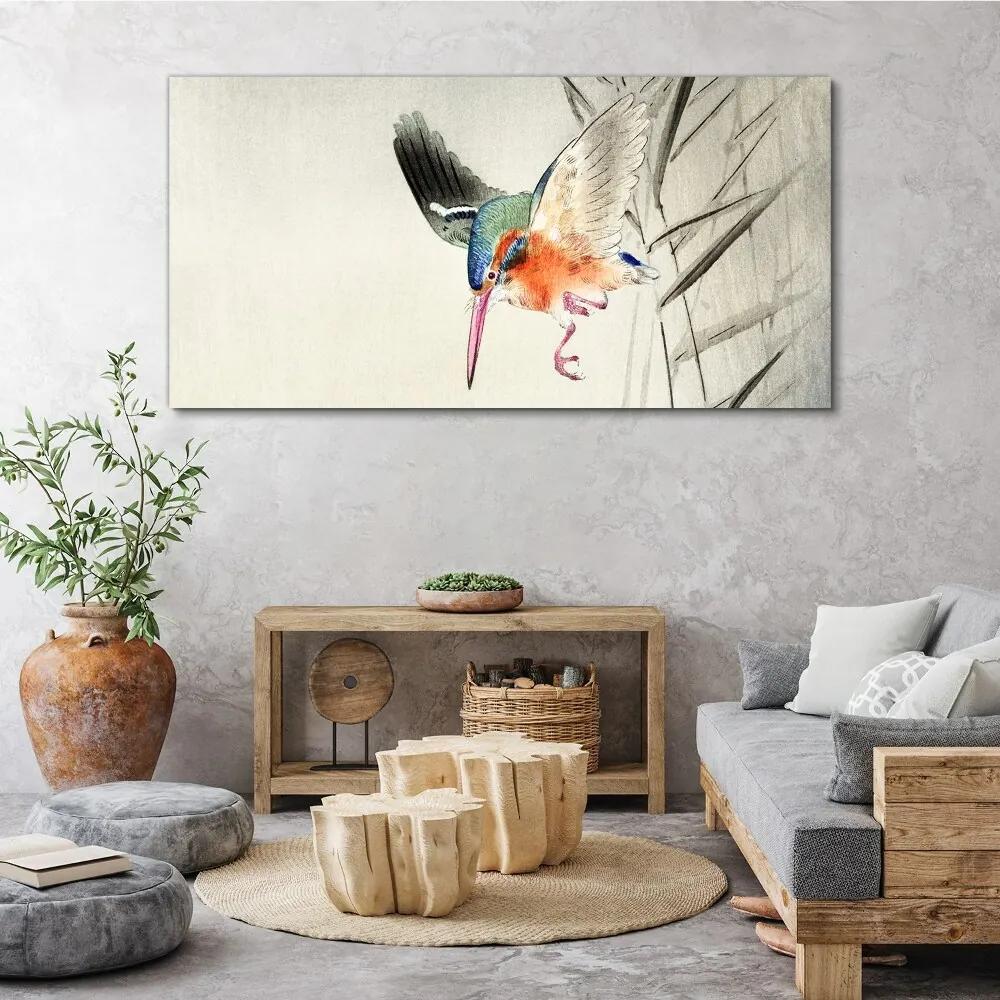Obraz Canvas Zvieracie vták ohara Kowon