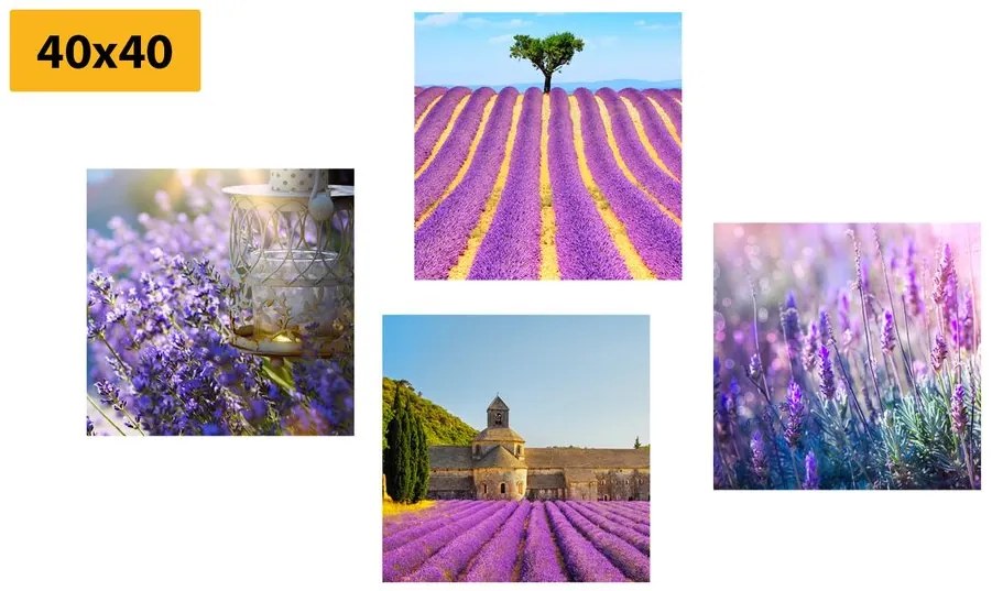 Set obrazov levanduľové bohatstvo