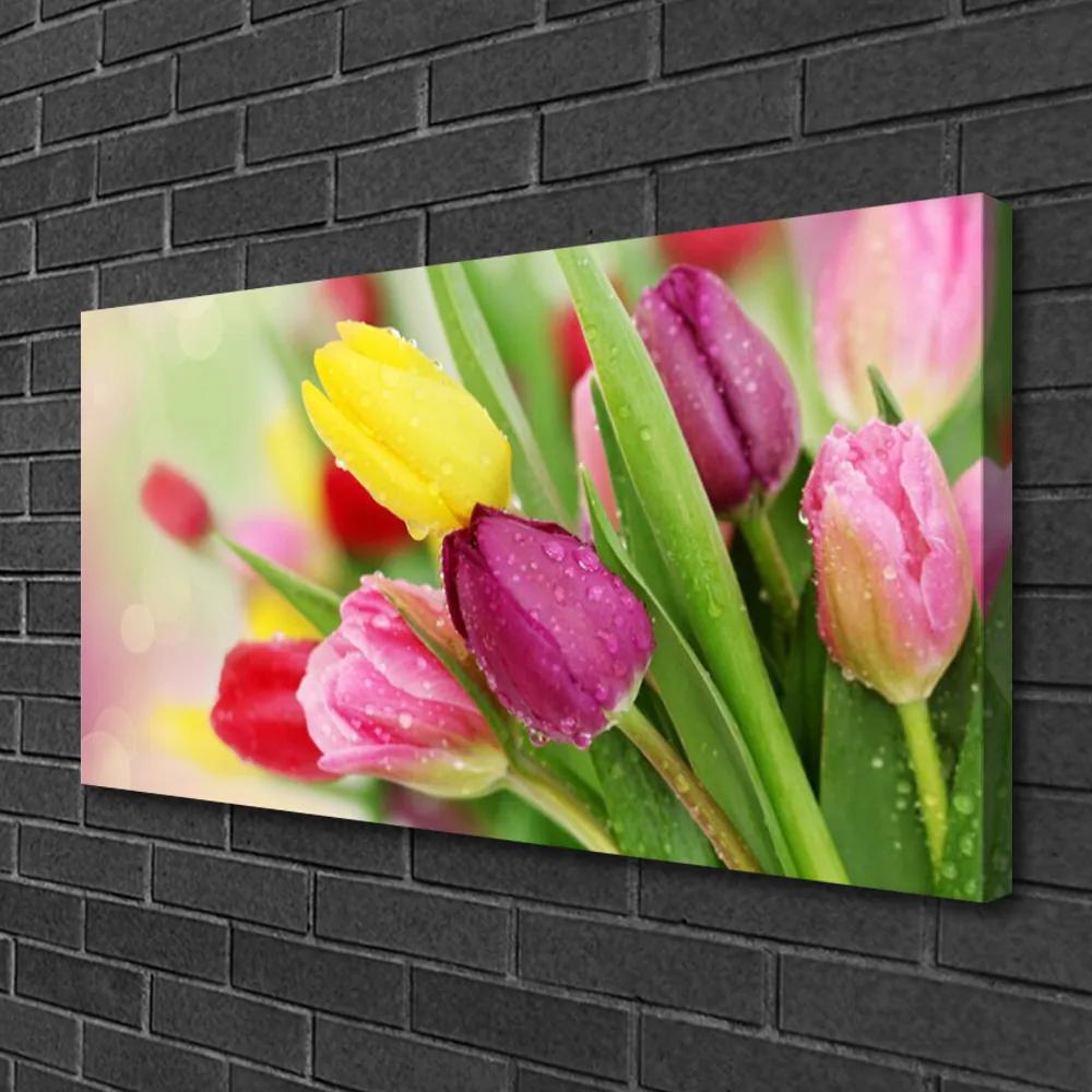 Obraz na plátne Tulipány kvety rastlina 125x50 cm