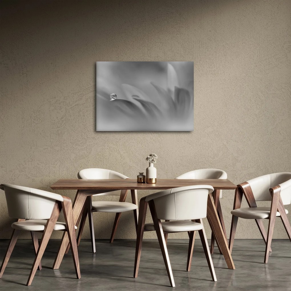 Obraz - Kvapka na kvete, čiernobiela (70x50 cm)