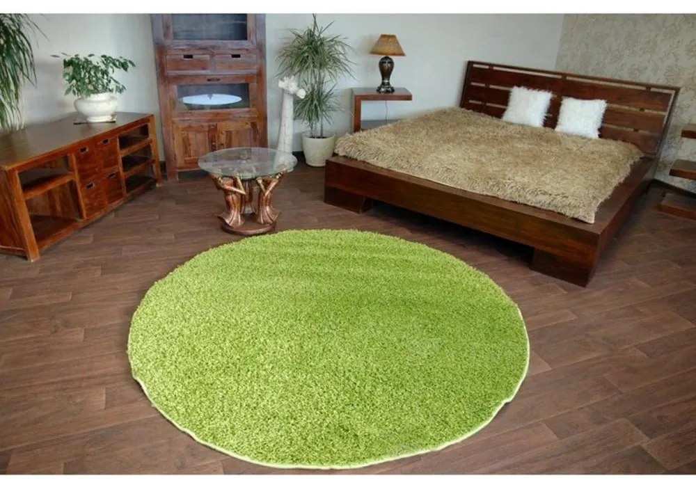 Kusový koberec Shaggy Roy zelený kruh 120cm