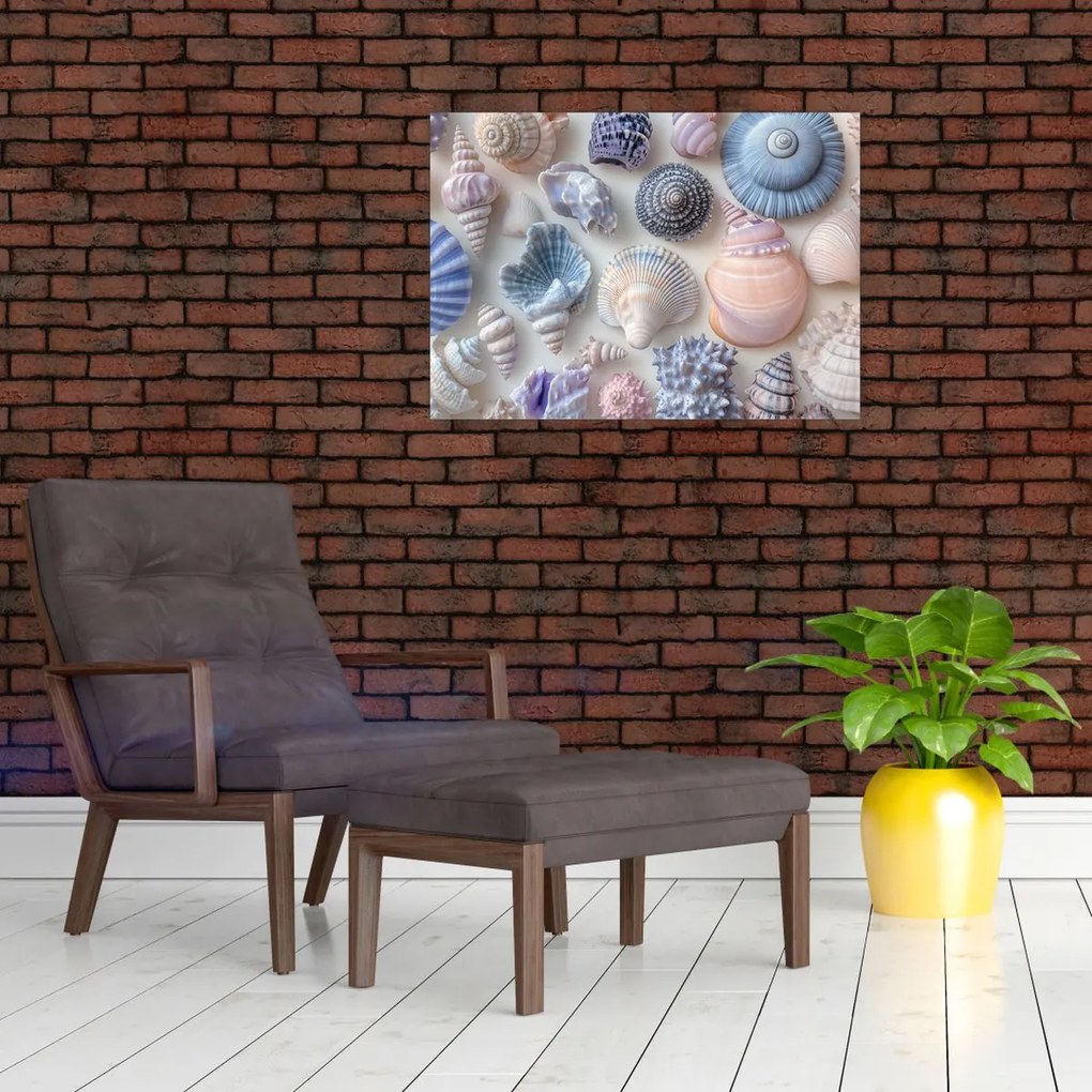 Sklenený obraz - Zbierka mušlí (70x50 cm)