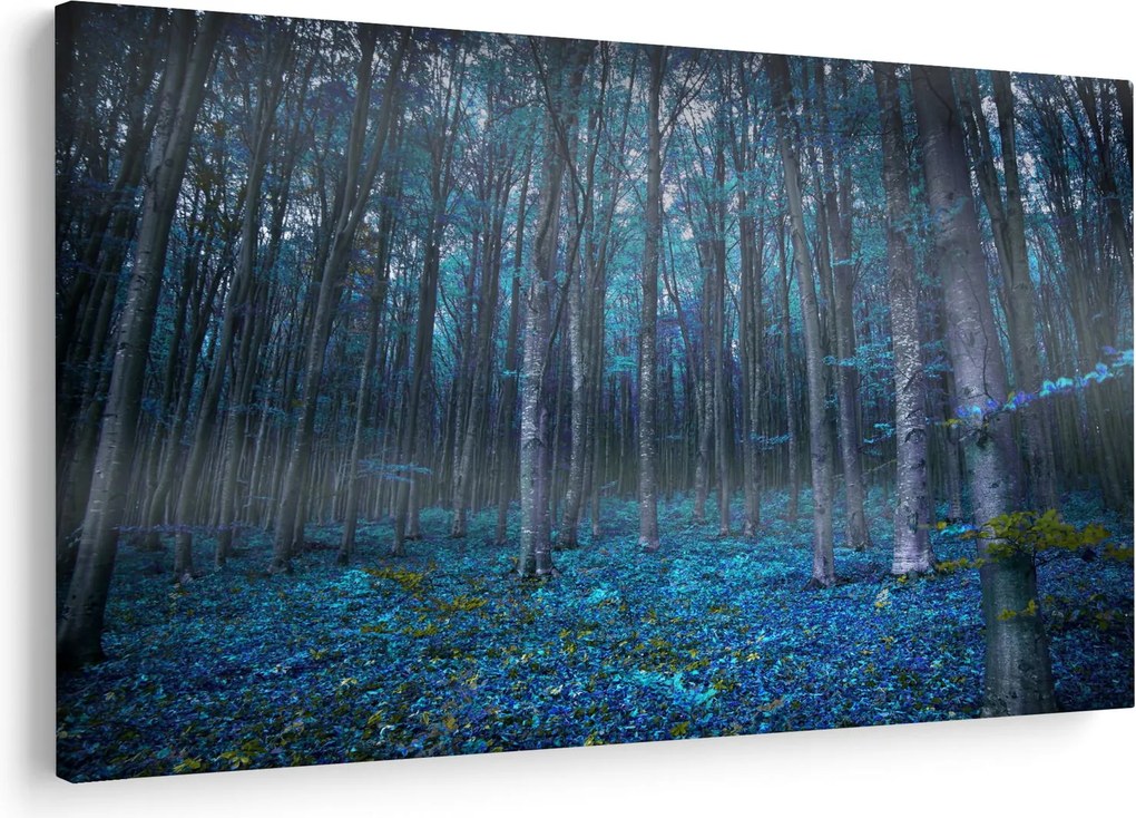 Obraz - Magický les (90x60 cm)