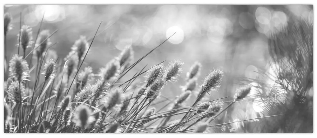Obraz - Béžová soft grass N⁰1 (120x50 cm)