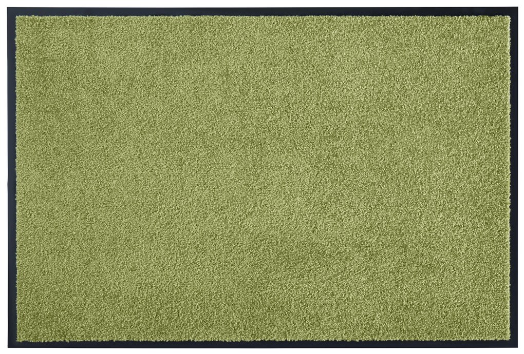 Hanse Home Collection koberce Rohožka Wash & Clean 101470 Green - 40x60 cm