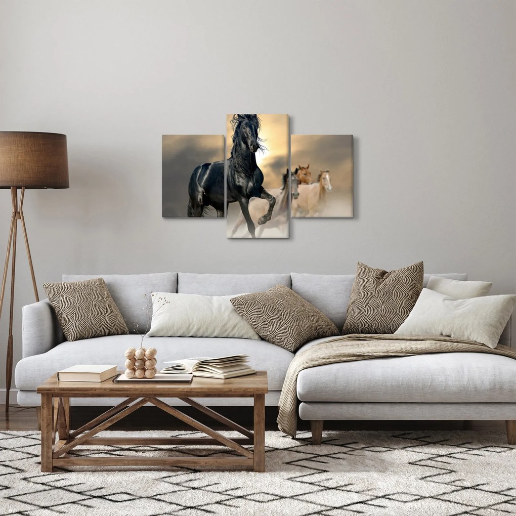 Obraz - Kone (90x60 cm)