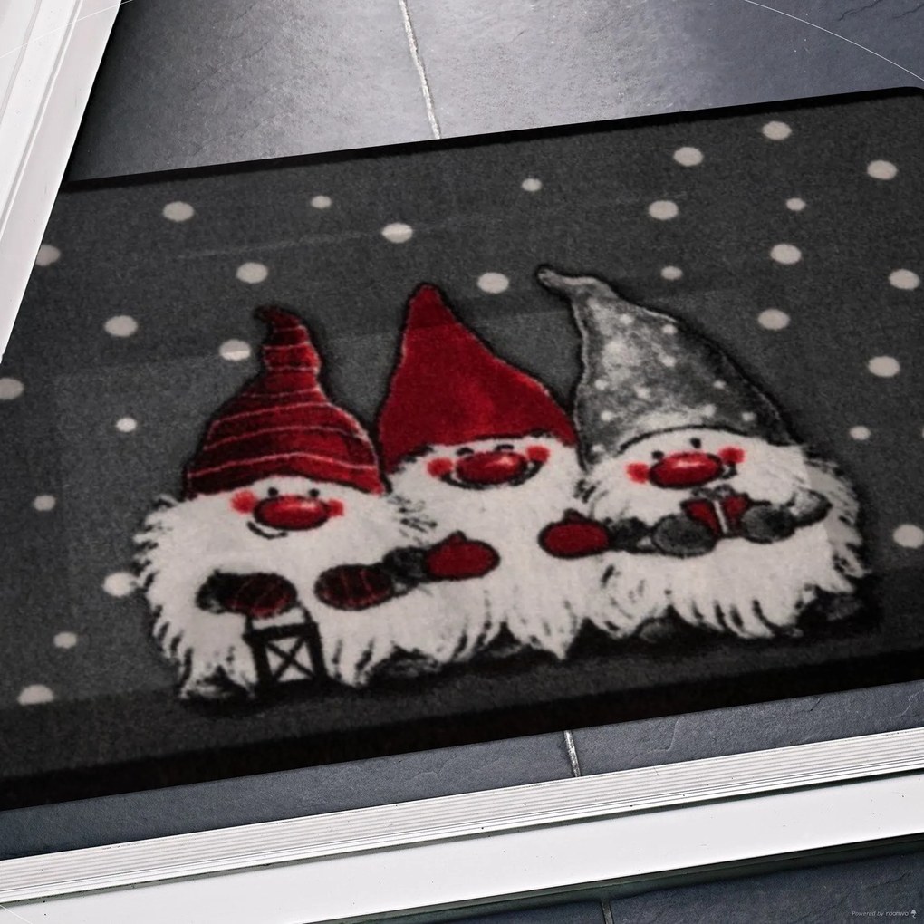 Rohožka Vianoce - 3 trpaslíci 103037 – na von aj na doma, 40x60, červená, chodba / predsieň, Hanse Home