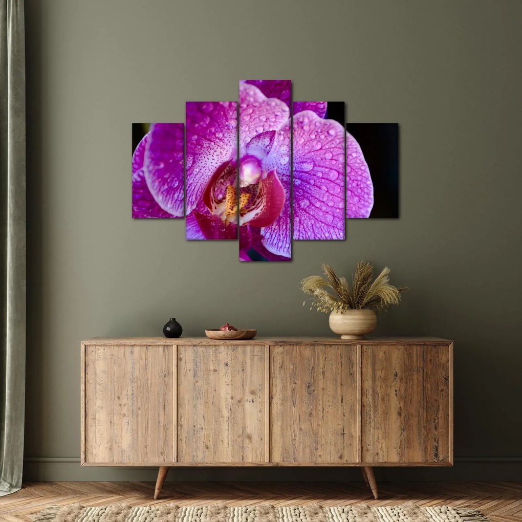 Detailný obraz kvetu orchidey (150x105 cm)