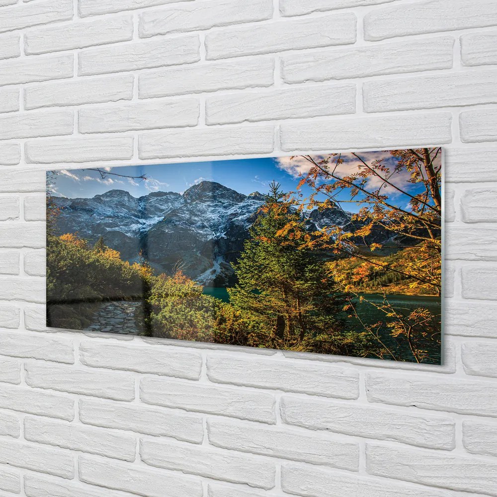 Obraz plexi Jazierka salašnícky 120x60 cm