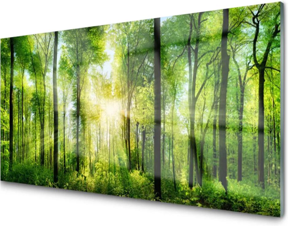 Obraz na akrylátovom skle Sklenený Les Príroda