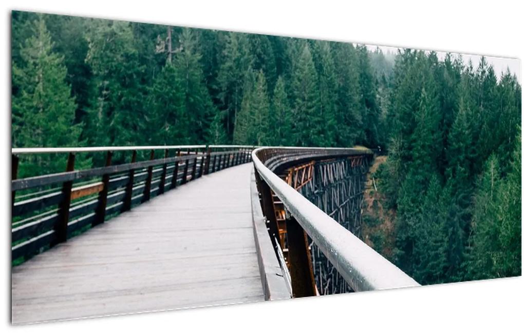Obraz - Most k vrcholkom stromov (120x50 cm)