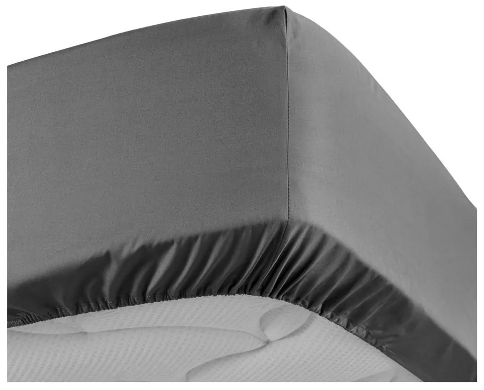 Antracitová napínacia plachta z bavlneného perkálu 180x200 cm Percaline – douceur d'intérieur