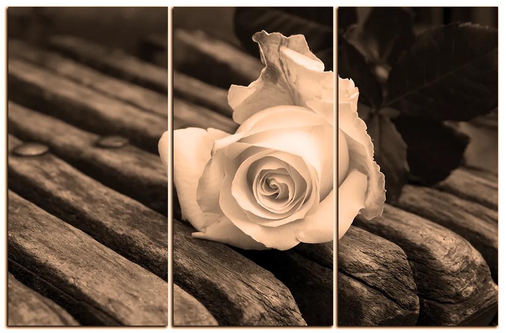 Obraz na plátne - Biela ruža na lavici 1224FB (135x90 cm)